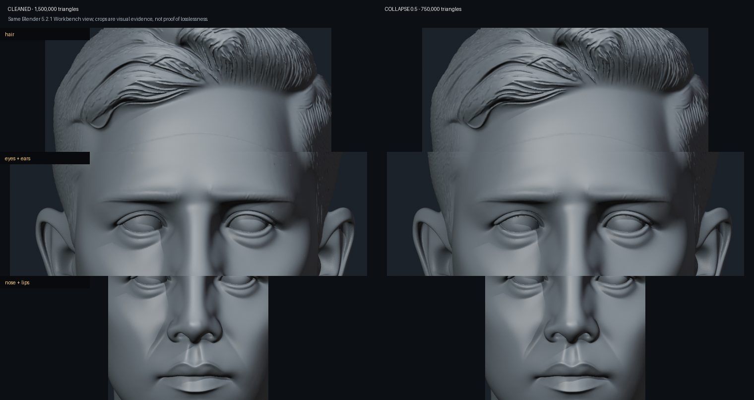 Matching detail crops of hair, eyes, ears, nose, and lips before and after Collapse 0.5